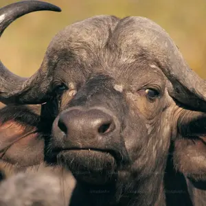 Explore CITY EXCURSION for 1 days with Bencia Africa Adventure and Safaris and discover unforgettable experiences - Photo 6