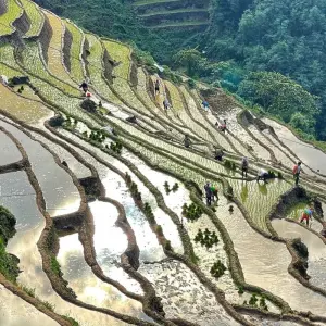 Explore Thailand, Vietnam and Cambodia  Cultural Tours -15 Days/14 Nights for 15 days with Bee Gng International Joint Stock Company and discover unforgettable experiences - Photo 9