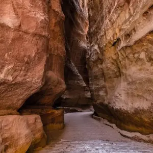 Explore Petra & Wadi Rum, 3 Days from Eilat for 3 days with Bein Harim Tourism Services  and discover unforgettable experiences - Photo 2