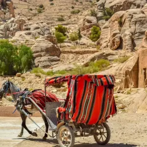 Explore Petra & Wadi Rum, 3 Days from Tel Aviv With Flights for 3 days with Bein Harim Tourism Services  and discover unforgettable experiences - Photo 5