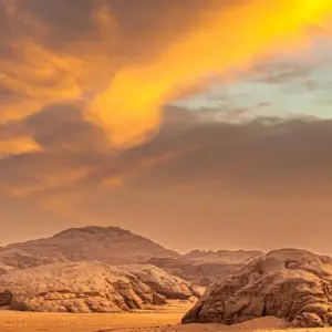 Explore Petra & Wadi Rum, 3 Days from Eilat for 3 days with Bein Harim Tourism Services  and discover unforgettable experiences - Photo 4