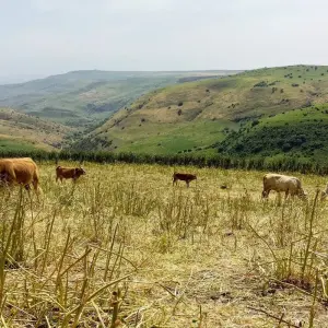 Explore Classical Israel Tour Package, 8 Days for 8 days with Bein Harim Tourism Services  and discover unforgettable experiences - Photo 4