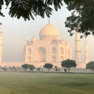 Explore India - Pushkar Camel Fair for 12 days with Best Single Travel and discover unforgettable experiences - Photo 6