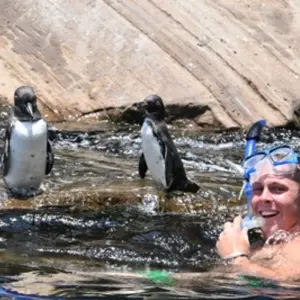 Explore Experience the Galapagos! 40's - 50's and 60's+ Singles Vacations for 10 days with Best Single Travel and discover unforgettable experiences - Photo 4