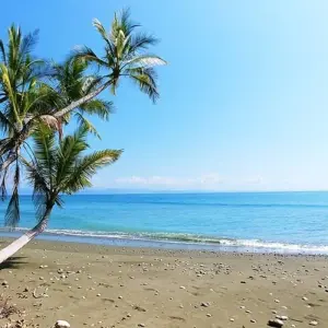 Explore Costa Rica Eco-Beach Adventure 40's - 50's and 60's Singles Vacations for 10 days with Best Single Travel and discover unforgettable experiences - Photo 6