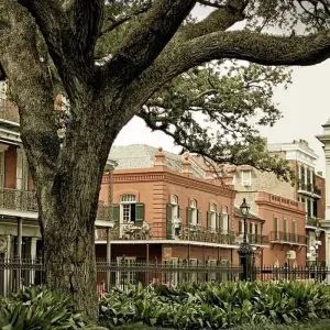 Explore New Orleans Pre-Mardi Gras Singles Weekend for 5 days with Best Single Travel and discover unforgettable experiences - Photo 3
