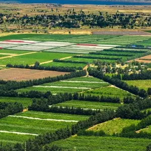 Explore Caesarea, Galilee & Golan, 3 Days for 3 days with Bein Harim Tourism Services  and discover unforgettable experiences - Photo 8