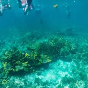 Explore Cancun Fiesta on the Beach All Inclusive Singles Vacation for 5 days with Best Single Travel and discover unforgettable experiences - Photo 2