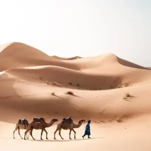 Explore 13 Days - Colors of Morocco for 13 days with Best Travel Morocco and discover unforgettable experiences - Photo 4