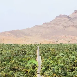 Explore 13 Days - Colors of Morocco for 13 days with Best Travel Morocco and discover unforgettable experiences - Photo 5