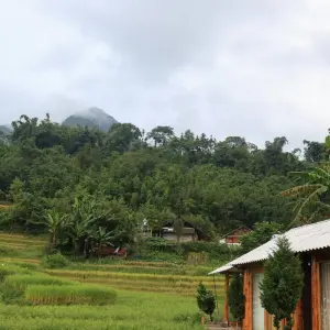 Explore Hanoi – Sapa 3D2N trekking with local guide & overnight bungalow at Ta Van Village for 3 days with Best Vietnam Tours and discover unforgettable experiences - Photo 5