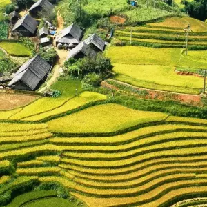 Explore Hanoi – Sapa 3D2N trekking with local guide & overnight bungalow at Ta Van Village for 3 days with Best Vietnam Tours and discover unforgettable experiences - Photo 6