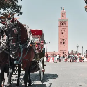 Explore 13 Days - Colors of Morocco for 13 days with Best Travel Morocco and discover unforgettable experiences - Photo 9