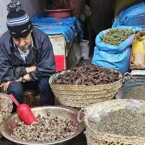 Explore Casablanca to Marrakech: Desert Adventure Tour for 8 days with Best Tours Morocco and discover unforgettable experiences - Photo 4