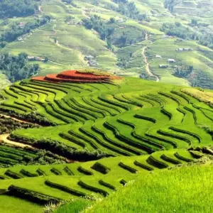 Explore Hanoi – Sapa 3D2N trekking with local guide & overnight bungalow at Ta Van Village for 3 days with Best Vietnam Tours and discover unforgettable experiences - Photo 8