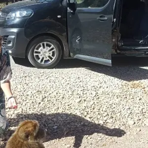 Explore Premium Morocco Highlights for 10 days with Best Tours Morocco and discover unforgettable experiences - Photo 6