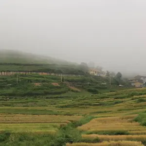 Explore Hanoi – Sapa 3D2N trekking with local guide & overnight bungalow at Ta Van Village for 3 days with Best Vietnam Tours and discover unforgettable experiences - Photo 9