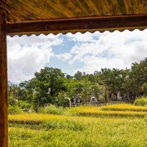 Explore Hanoi – Sapa 3D2N trekking with local guide & overnight bungalow at Ta Van Village for 3 days with Best Vietnam Tours and discover unforgettable experiences - Photo 10