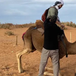 Explore Premium Morocco Highlights for 10 days with Best Tours Morocco and discover unforgettable experiences - Photo 8