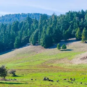 Explore Fes To Marrakech Via Merzouga Desert for 4 days with Best Tours Morocco and discover unforgettable experiences - Photo 8