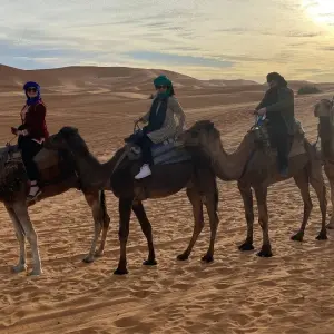Explore Six days Sahara adventure Starts from Ouarzazate, Ends in Marrakech. for 6 days with Best Tours Morocco and discover unforgettable experiences - Photo 9