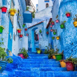 Explore 12 Day Tour from Casablanca. Highlights of Morocco. for 12 days with Best Tours Morocco and discover unforgettable experiences - Photo 6
