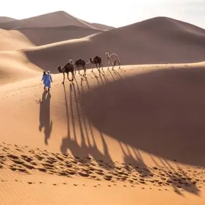 Explore Casablanca to Marrakech: Desert Adventure Tour for 8 days with Best Tours Morocco and discover unforgettable experiences - Photo 10