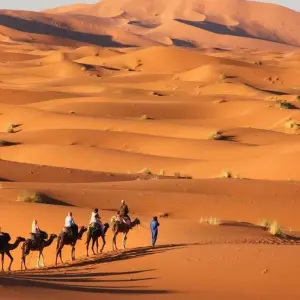 Explore Morocco in 7 days. Private, Fully Guided and 4* Hotels for 7 days with Best Tours Morocco and discover unforgettable experiences - Photo 9