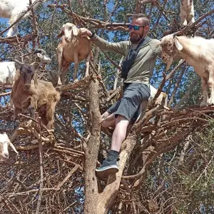 Explore 12 Day Tour from Casablanca. Highlights of Morocco. for 12 days with Best Tours Morocco and discover unforgettable experiences - Photo 7