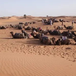 Explore Marrakech to Sahara in 3 days ( Luxury Private Tour 4* Hotels) for 3 days with Best Tours Morocco and discover unforgettable experiences - Photo 4