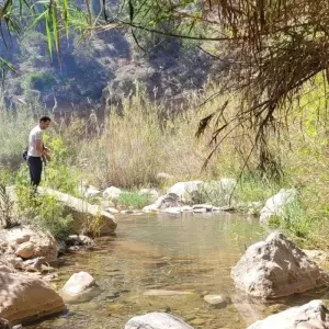 Explore 12 Day Tour from Casablanca. Highlights of Morocco. for 12 days with Best Tours Morocco and discover unforgettable experiences - Photo 9