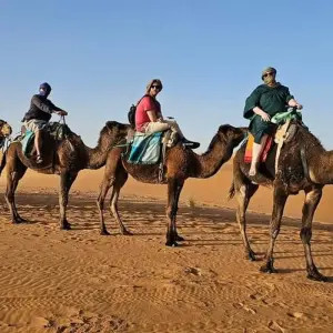 Explore From Tangier to Casablanca, via Chefchoune, Fes, Desert and Marrakesh. (Private 4* hotels) for 13 days with Best Tours Morocco and discover unforgettable experiences - Photo 4