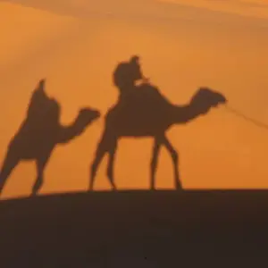 Explore Marrakech to Sahara in 3 days ( Luxury Private Tour 4* Hotels) for 3 days with Best Tours Morocco and discover unforgettable experiences - Photo 7