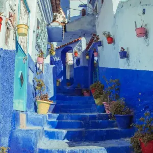 Explore Private Moroccan Adventure: Tangier, Chefchaouen, Fes, Essaouira, and Marrakech for 10 days with Best Tours Morocco and discover unforgettable experiences - Photo 6
