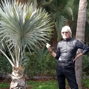 Explore 5 Days Marrakech Holiday for 5 days with Best Tours Morocco and discover unforgettable experiences - Photo 3