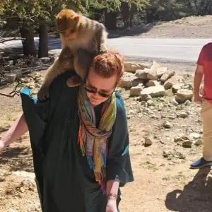 Explore Morocco Classic Tour (Private, Fully guided, 4* Hotels) for 7 days with Best Tours Morocco and discover unforgettable experiences - Photo 6