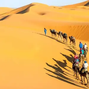 Explore 7-Day Journey from Casablanca for 7 days with Best Tours Morocco and discover unforgettable experiences - Photo 3