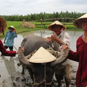 Explore Hoi An Eco Tour 4 Days for 4 days with Best Vietnam Tours and discover unforgettable experiences - Photo 4