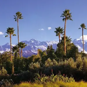 Explore 5 Days Marrakech Holiday for 5 days with Best Tours Morocco and discover unforgettable experiences - Photo 10