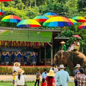 Explore Highlights of Laos-6 Days Private Tour for 6 days with Best Vietnam Tours and discover unforgettable experiences - Photo 3