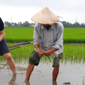 Explore Hoi An Eco Tour 4 Days for 4 days with Best Vietnam Tours and discover unforgettable experiences - Photo 8