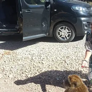 Explore Casablanca, Tangier, Chefchaoune, Fes, Sahara and Marrakesh. for 12 days with Best Tours Morocco and discover unforgettable experiences - Photo 3