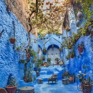 Explore 12 Days Colors Of Morocco. (Private, Fully guided tour) for 12 days with Best Tours Morocco and discover unforgettable experiences - Photo 6