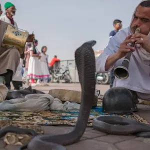 Explore Casablanca to Marrakech plus Agafay Desert for 9 days with Best Tours Morocco and discover unforgettable experiences - Photo 9