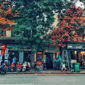 Explore 10 Days of Vietnam's Landscapes for 10 days with Best Vietnam Tours and discover unforgettable experiences - Photo 11