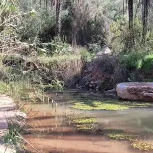 Explore Marrakech to Agadir Via Agafay Desert, Essaouira, and Taghazout. for 9 days with Best Tours Morocco and discover unforgettable experiences - Photo 7