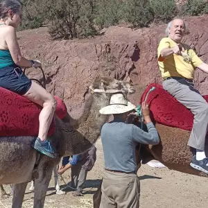 Explore Marrakech to Agadir Via Agafay Desert, Essaouira, and Taghazout. for 9 days with Best Tours Morocco and discover unforgettable experiences - Photo 9