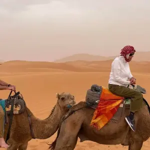 Explore Casablanca, Tangier, Chefchaoune, Fes, Sahara and Marrakesh. for 12 days with Best Tours Morocco and discover unforgettable experiences - Photo 10