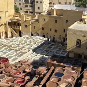 Explore 8-Day Group Adventure Through Imperial Cities & the Sahara Desert from Casablanca for 8 days with Best Tours Morocco and discover unforgettable experiences - Photo 5