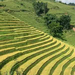 Explore Luxury Hanoi - Sapa 3D2N trekking all included with local guide for 3 days with Best Vietnam Tours and discover unforgettable experiences - Photo 10